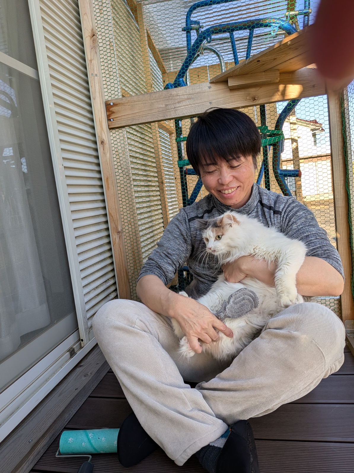 保護猫との日常